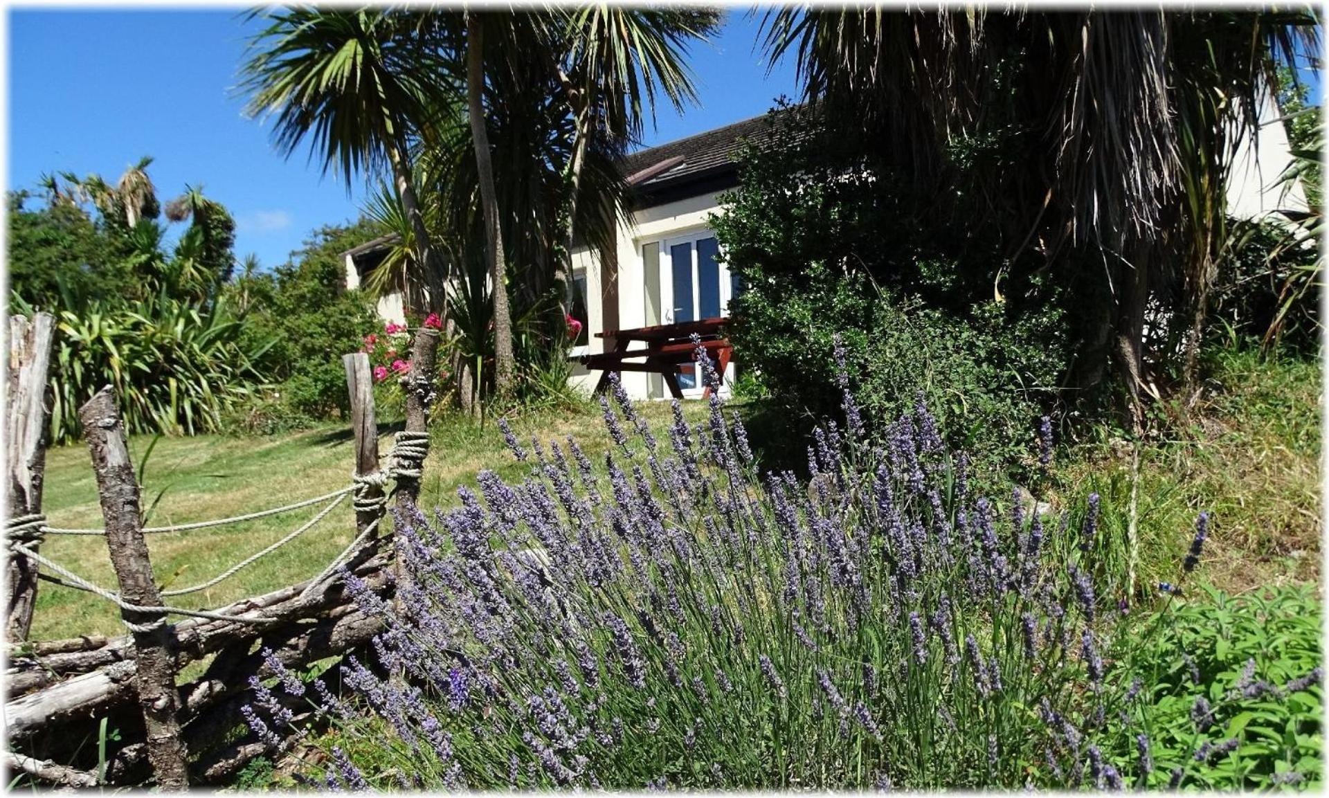 Haus Mit Blick Auf Die Kenmare Bucht Umgeben Von Subtropischer Vegetation - B48742 Villa Ardea Exterior foto