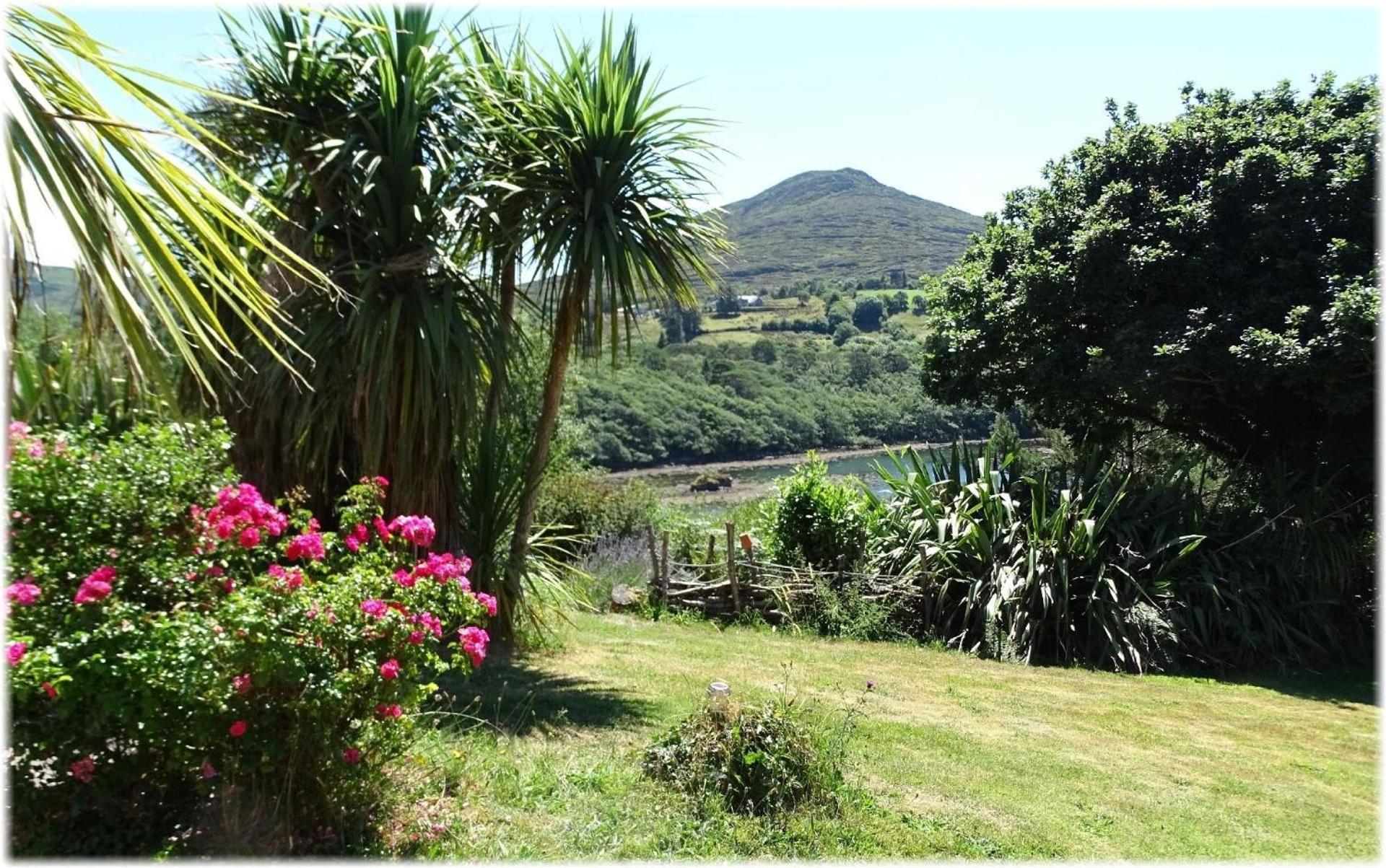 Haus Mit Blick Auf Die Kenmare Bucht Umgeben Von Subtropischer Vegetation - B48742 Villa Ardea Exterior foto